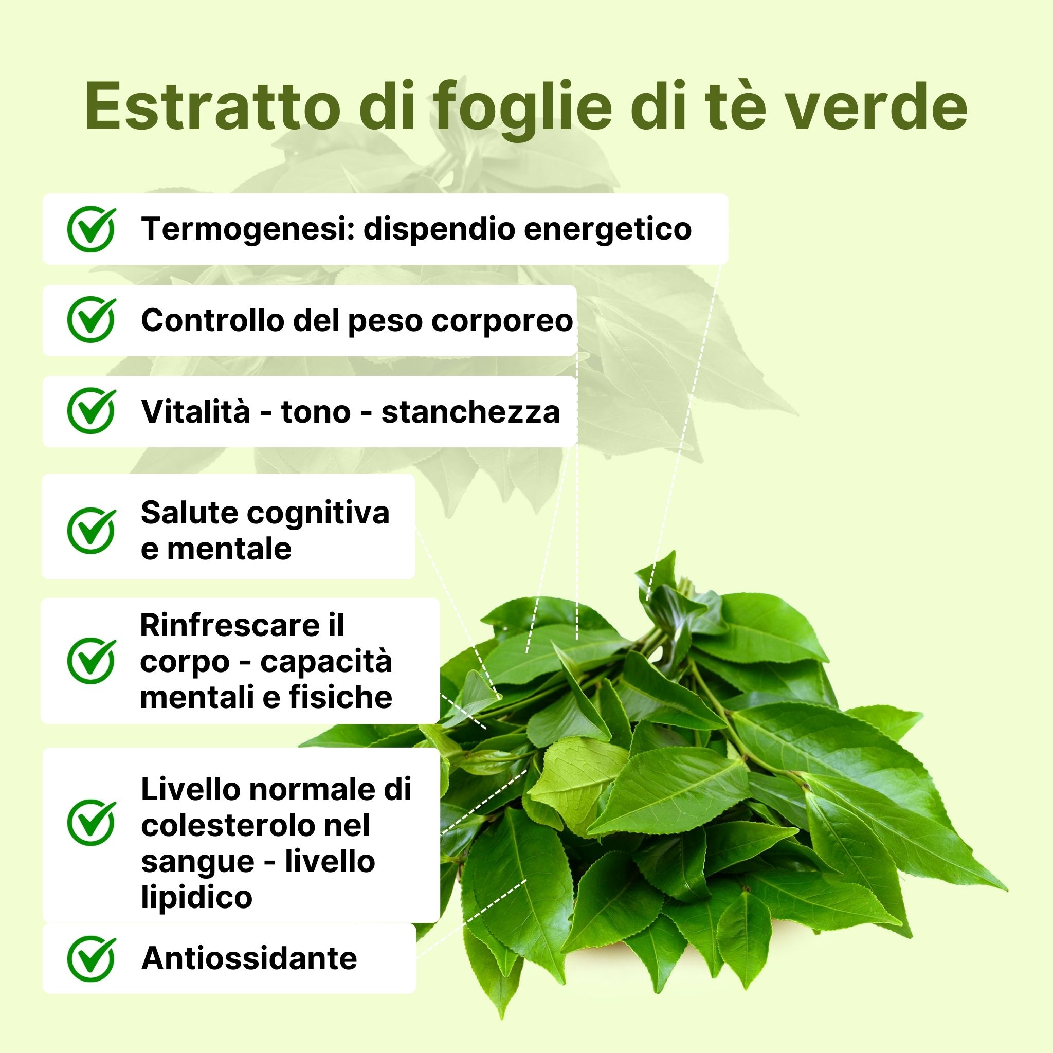 (Italština) (3)